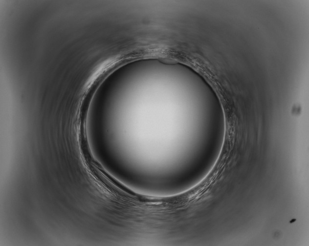 X0000098090054200804041230