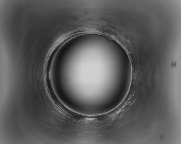 X0000098090055200804041230