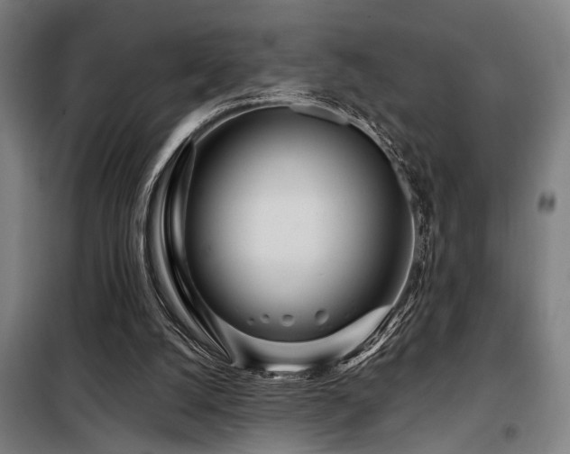 X0000098090056200804041230