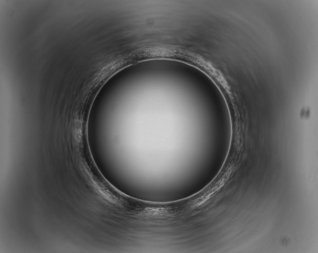 X0000098090057200804041230