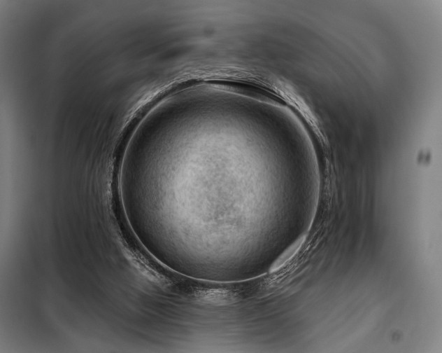 X0000098090058200804041230