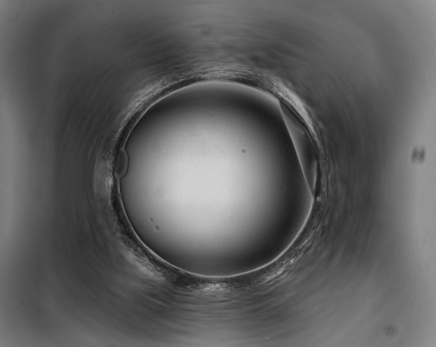 X0000098090059200804041230