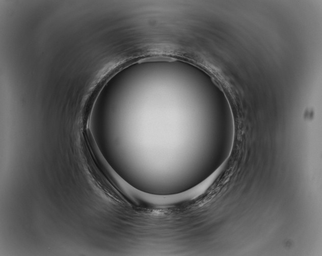 X0000098090060200804041230