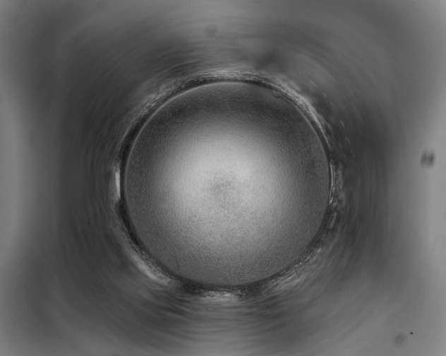 X0000098090061200804041230