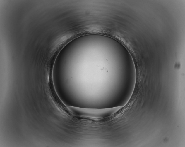 X0000098090062200804041230