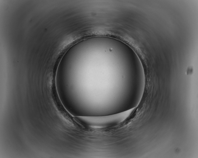 X0000098090063200804041230