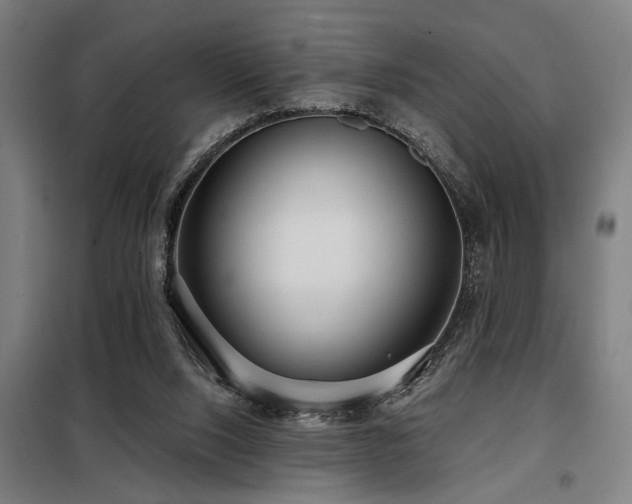X0000098090064200804041230