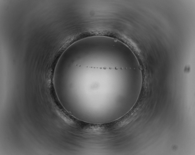 X0000098090065200804041230
