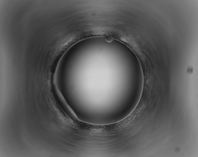 X0000098090066200804041230