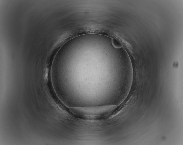 X0000098090067200804041230