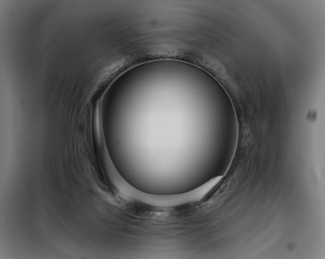 X0000098090068200804041230