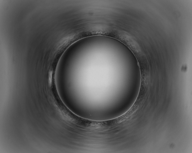 X0000098090070200804041230