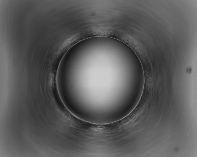 X0000098090071200804041230