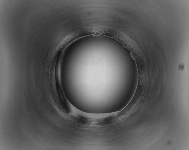 X0000098090072200804041230