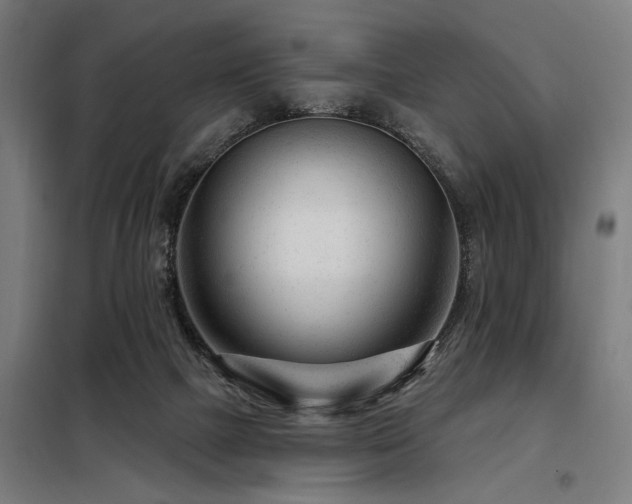 X0000098090073200804041230