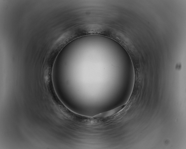 X0000098090074200804041230