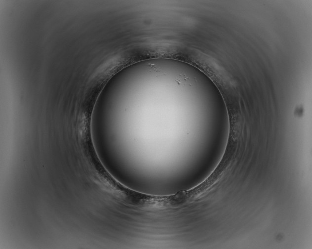 X0000098090077200804041230