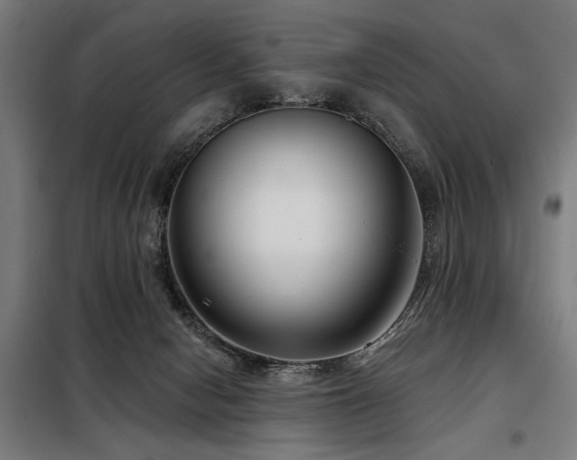 X0000098090078200804041230