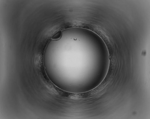 X0000098090079200804041230