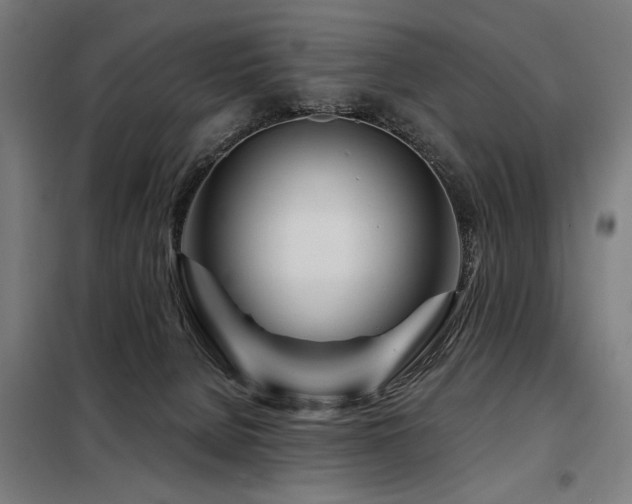 X0000098090080200804041230