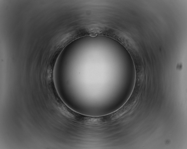 X0000098090081200804041230