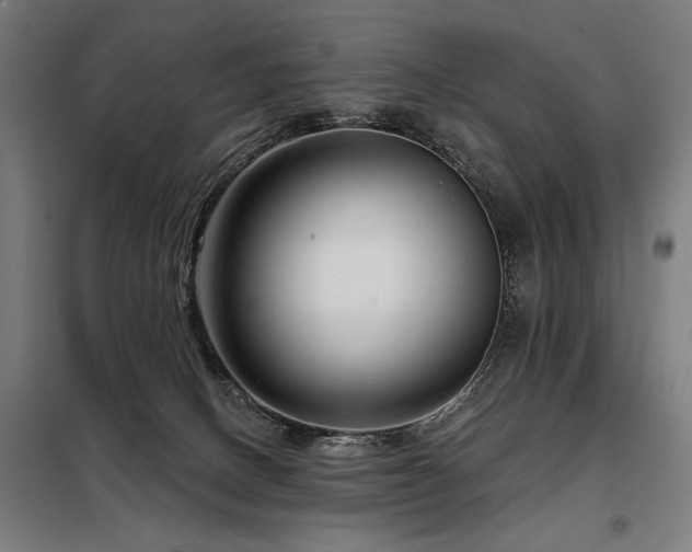 X0000098090082200804041230