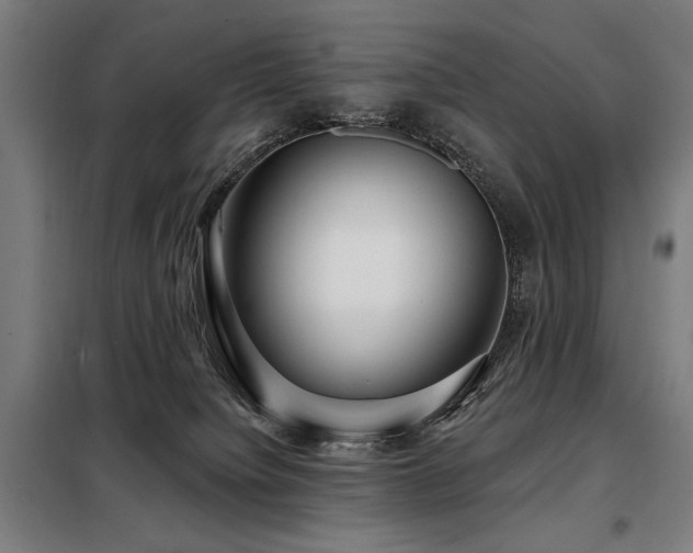 X0000098090084200804041230
