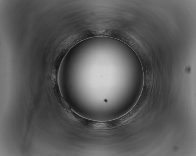 X0000098090085200804041230