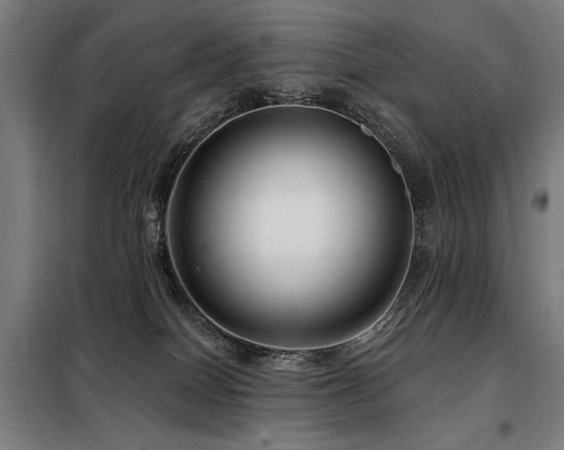 X0000098090086200804041230