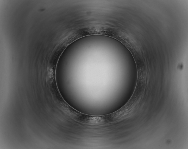 X0000098090087200804041230