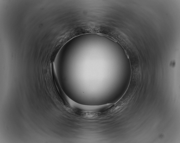 X0000098090088200804041230