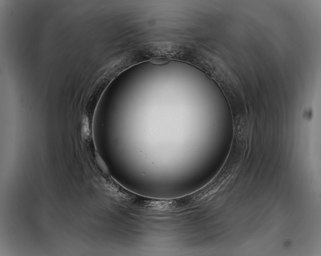 X0000098090089200804041230