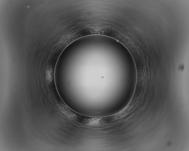 X0000098090090200804041230