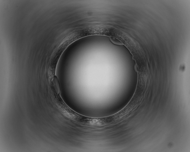 X0000098090091200804041230
