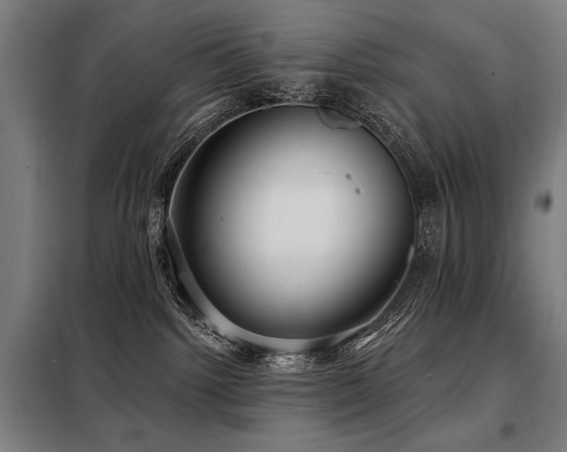 X0000098090092200804041230