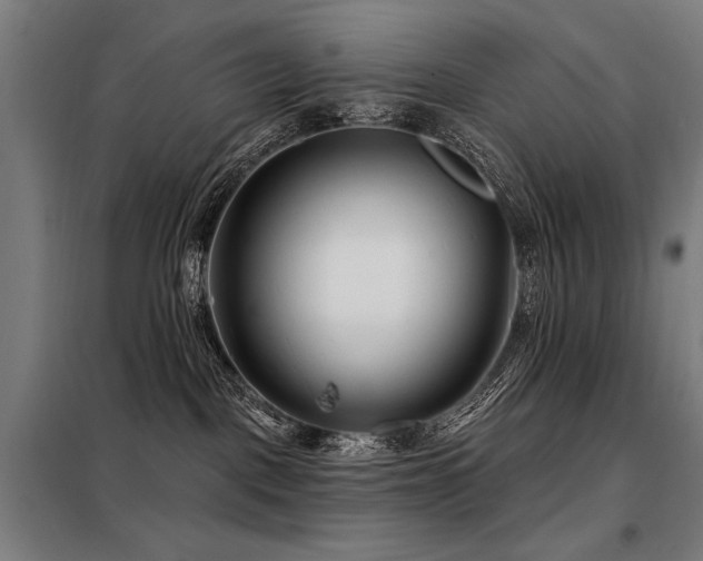 X0000098090093200804041230