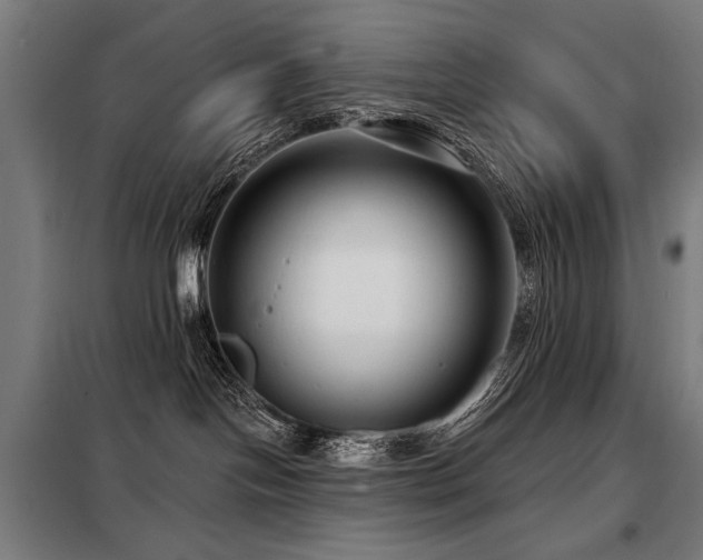 X0000098090094200804041230