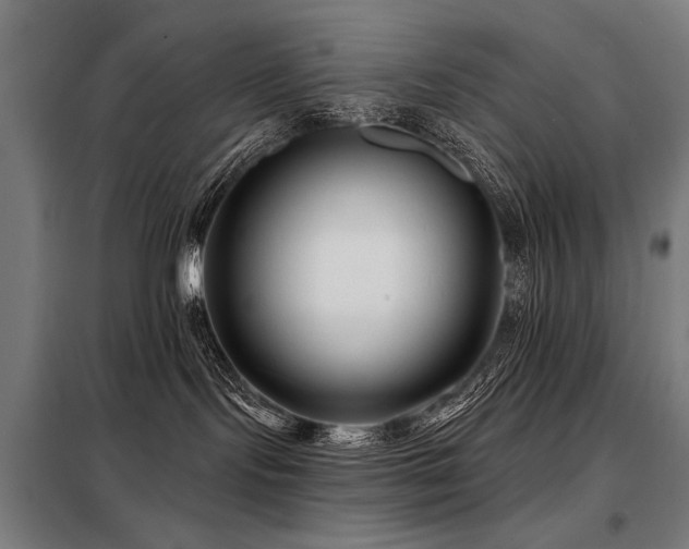 X0000098090095200804041230