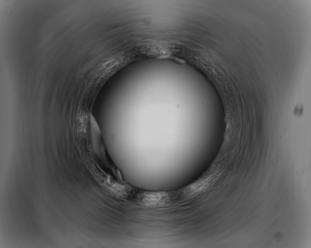 X0000098090096200804041230