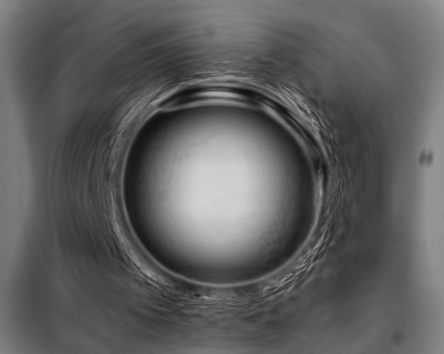 X0000098090097200804041229