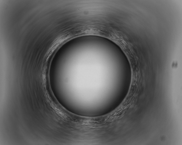 X0000098090098200804041229