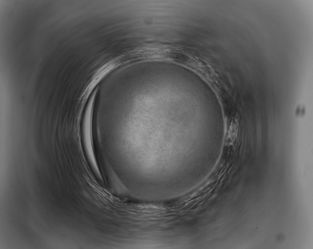 X0000098090099200804041229