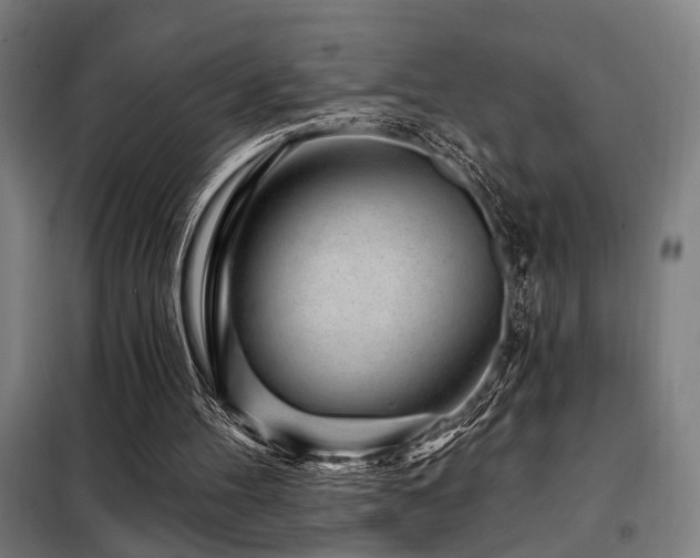 X0000098090100200804041229