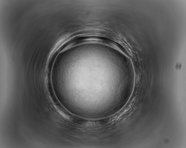 X0000098090101200804041229