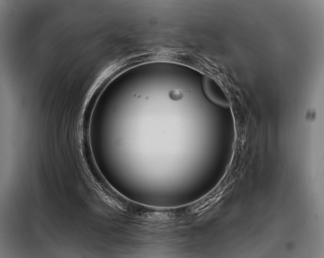 X0000098090102200804041229