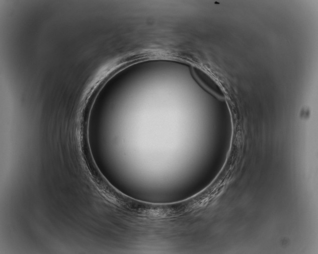 X0000098090103200804041229