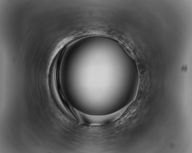 X0000098090104200804041229