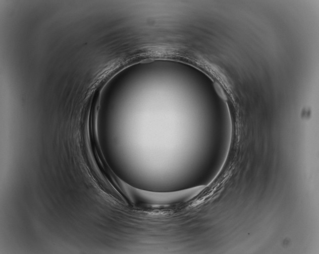 X0000098090105200804041229