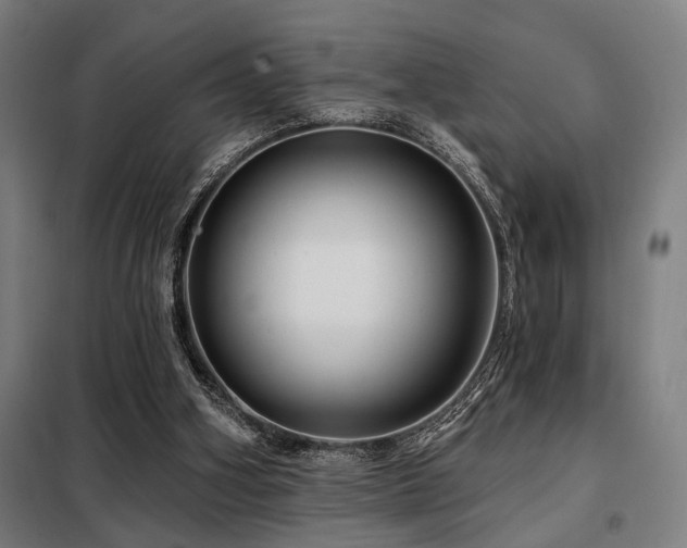 X0000098090106200804041229