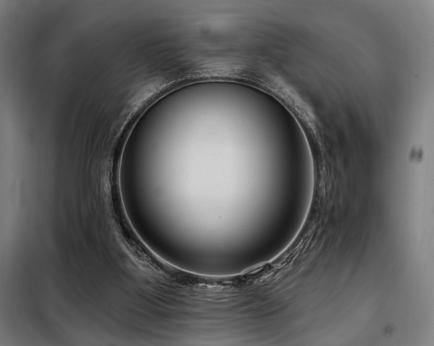 X0000098090107200804041229